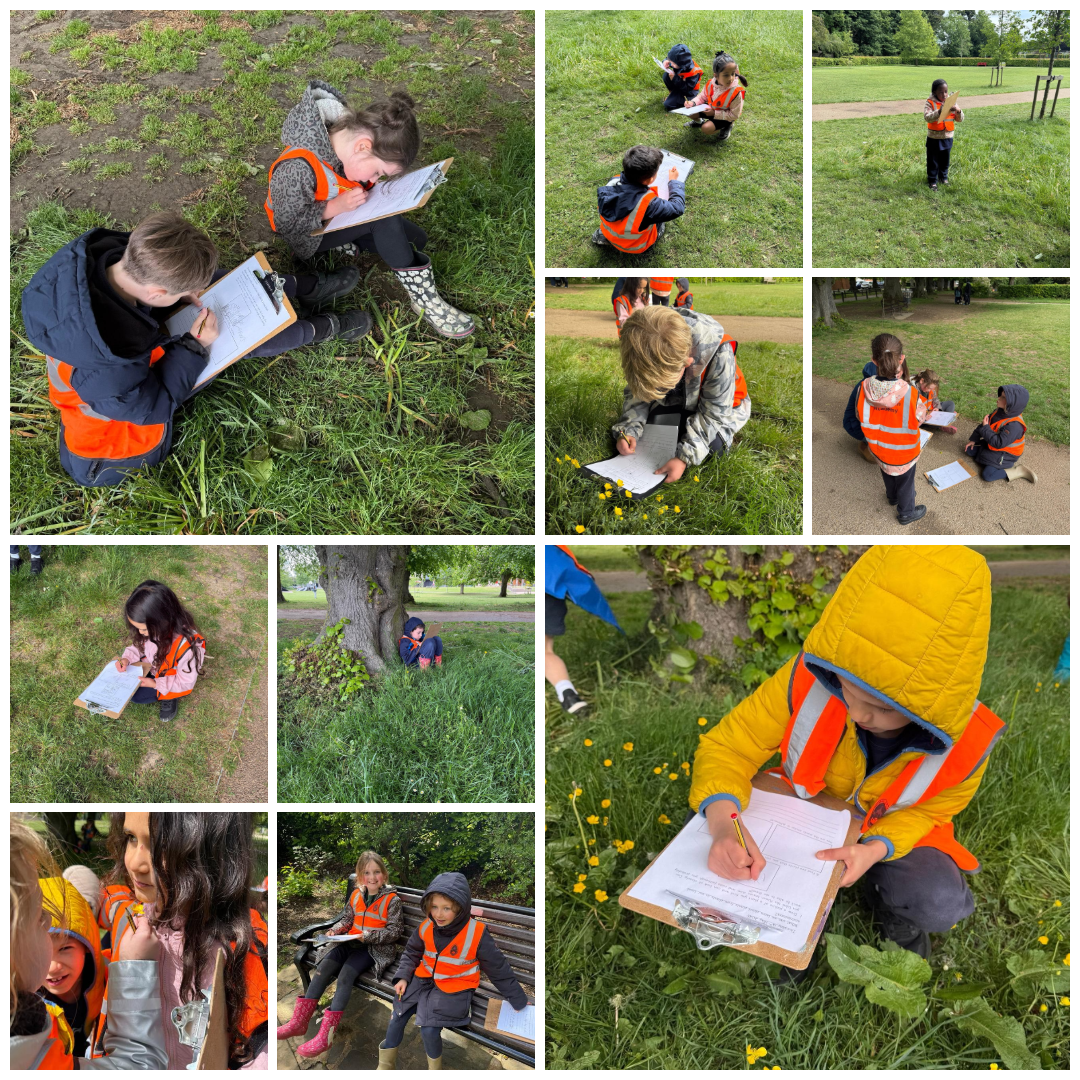 Photo collageW1